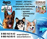 Легион