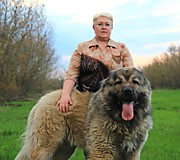 Бравый