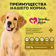 ЗДОРОВЫЕ ДРУЗЬЯ