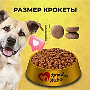ЗДОРОВЫЕ ДРУЗЬЯ